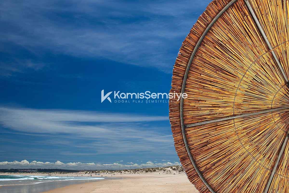 Saz Şemsiye Modelleri