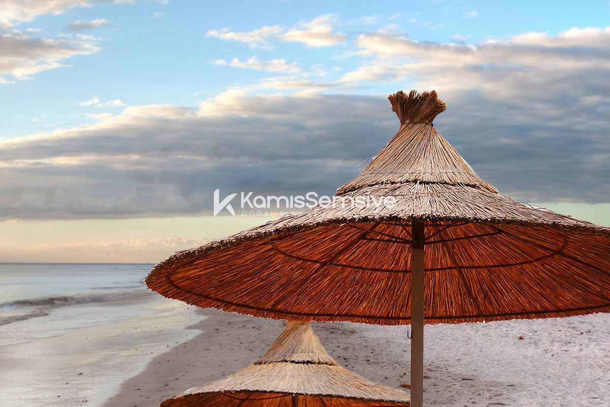 Saz Şemsiye Modelleri