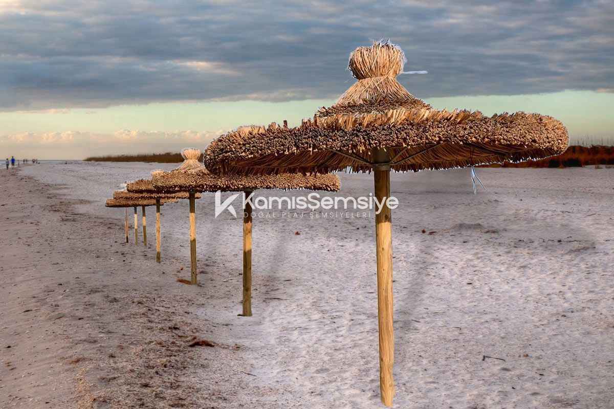 Saz Şemsiye Modelleri