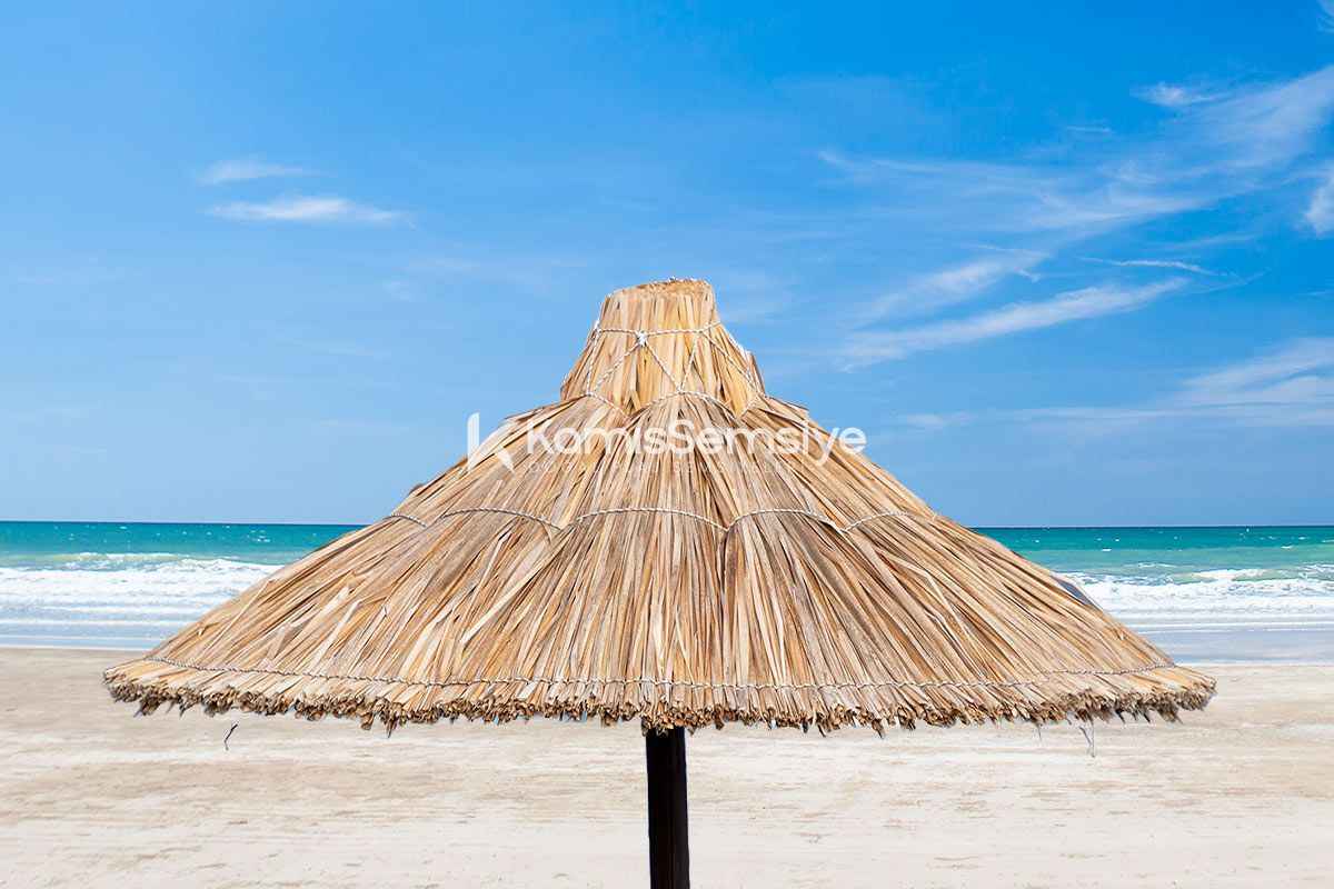 Saz Şemsiye Modelleri