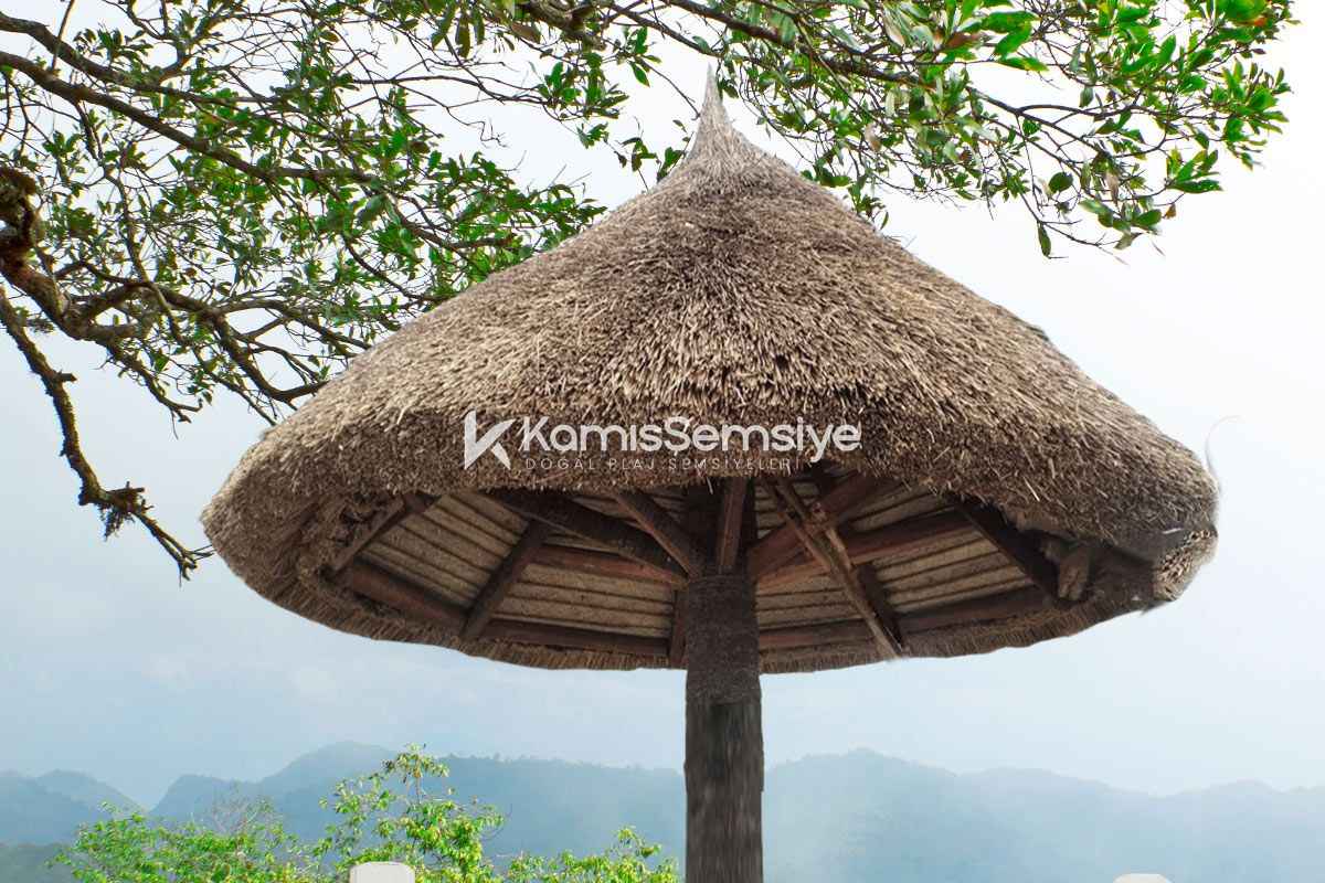 Saz Şemsiye Modelleri