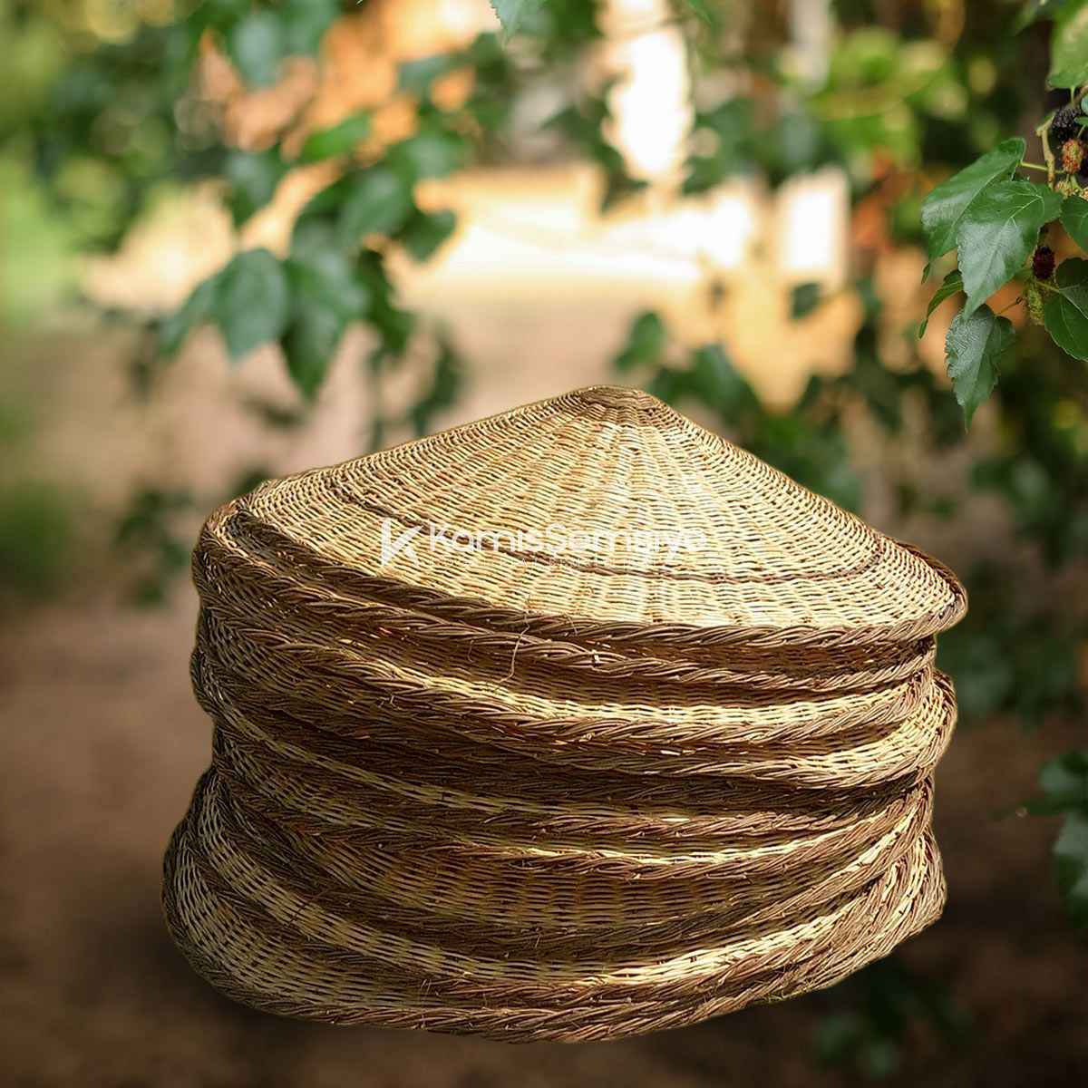 Kıbrıs Kamış Hasır Şemsiye