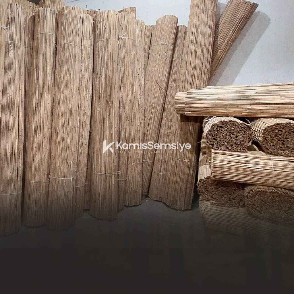 Saz Kamış Rulo